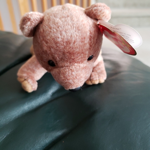 Ty Beanie Baby Pecan the Bear - Picture 8 of 8
